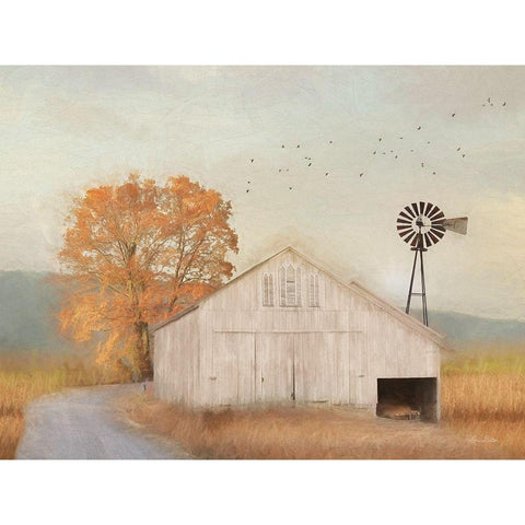 Fall Barn in Muir White Modern Wood Framed Art Print by Deiter, Lori