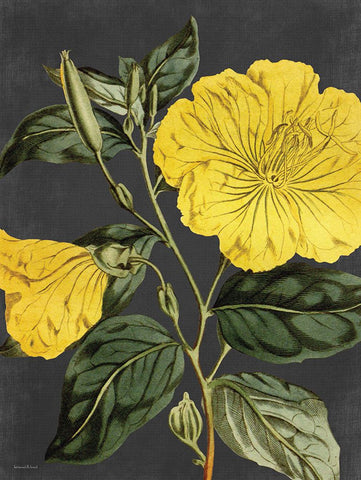 Yellow Vine Black Ornate Wood Framed Art Print with Double Matting by Lettered and Lined