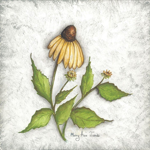 Bloomin Coneflowers Gold Ornate Wood Framed Art Print with Double Matting by June, Mary Ann