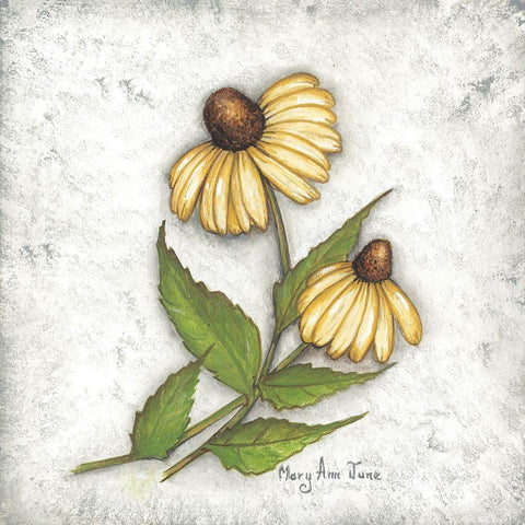 Yellow Coneflowers White Modern Wood Framed Art Print by June, Mary Ann