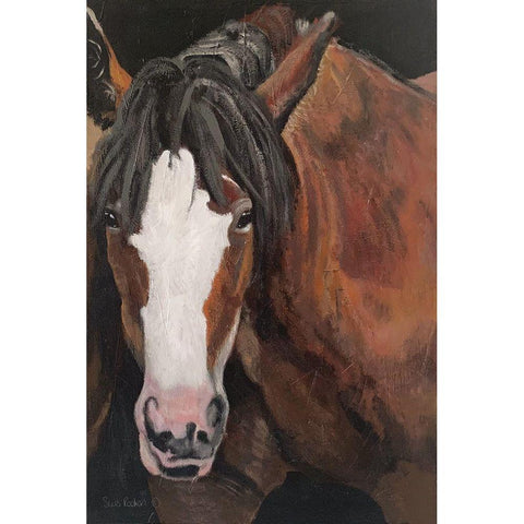 Horse Portrait I Black Modern Wood Framed Art Print with Double Matting by Redman, Suzi