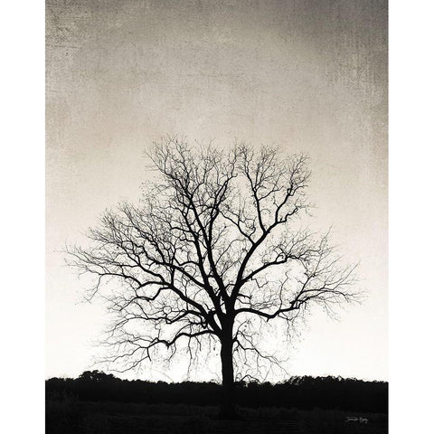 Under Heaven Black Modern Wood Framed Art Print by Rigsby, Jennifer