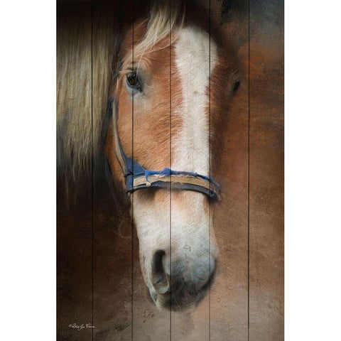 Blaze Black Modern Wood Framed Art Print by Vieira, Robin-Lee