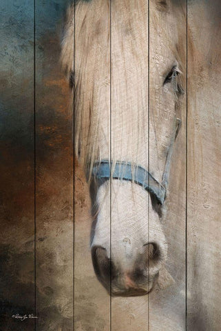 Old Gray Mare White Modern Wood Framed Art Print with Double Matting by Vieira, Robin-Lee