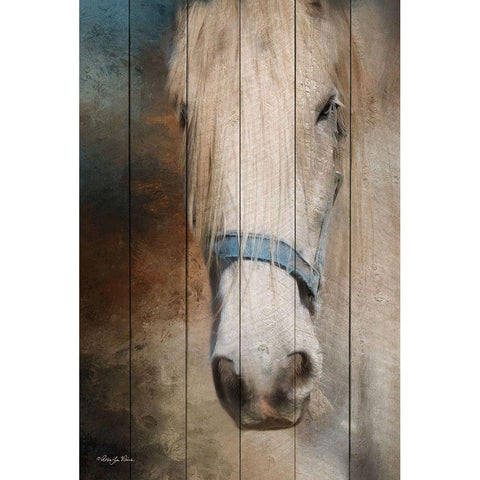 Old Gray Mare White Modern Wood Framed Art Print by Vieira, Robin-Lee