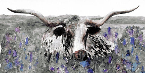 Longhorn in Flower Field White Modern Wood Framed Art Print with Double Matting by Stellar Design Studio