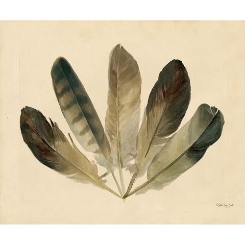 Five Feathers Black Modern Wood Framed Art Print with Double Matting by Stellar Design Studio