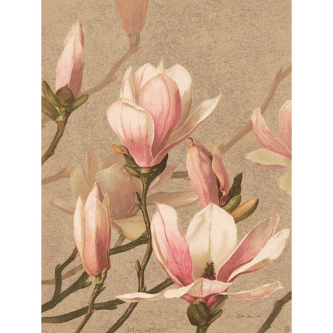 Antique Botanical Collection 4 Black Modern Wood Framed Art Print with Double Matting by Stellar Design Studio