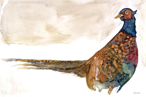 Pheasant 1 White Modern Wood Framed Art Print with Double Matting by Stellar Design Studio