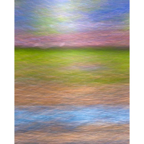 Abstract composite collage White Modern Wood Framed Art Print by Jaynes Gallery