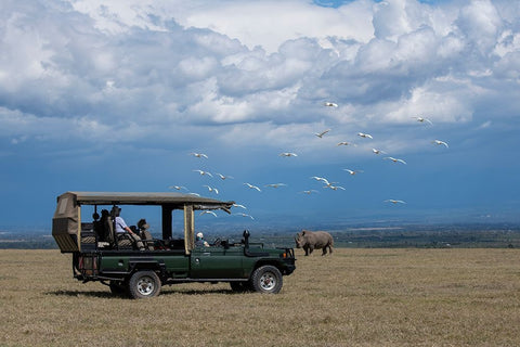Africa-Kenya-Ol Pejeta Conservancy-Safari jeep with Southern white rhinoceros-Ceratotherium simum White Modern Wood Framed Art Print with Double Matting by Hopkins, Cindy Miller