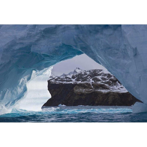 South Georgia Island, Iris Bay Iceberg arch Gold Ornate Wood Framed Art Print with Double Matting by Paulson, Don