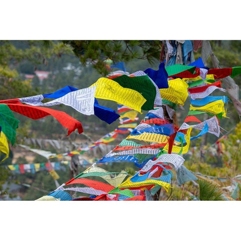 Bhutan-Thimphu Colorful prayer flags on mountain top at the Sangaygang Geodetic Station White Modern Wood Framed Art Print by Hopkins, Cindy Miller