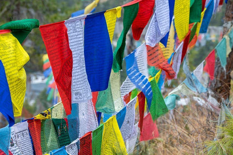Bhutan-Thimphu Colorful prayer flags on mountain top at the Sangaygang Geodetic Station Black Ornate Wood Framed Art Print with Double Matting by Hopkins, Cindy Miller