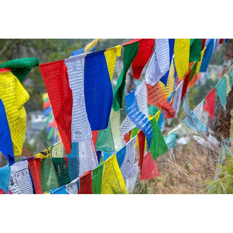 Bhutan-Thimphu Colorful prayer flags on mountain top at the Sangaygang Geodetic Station Black Modern Wood Framed Art Print by Hopkins, Cindy Miller