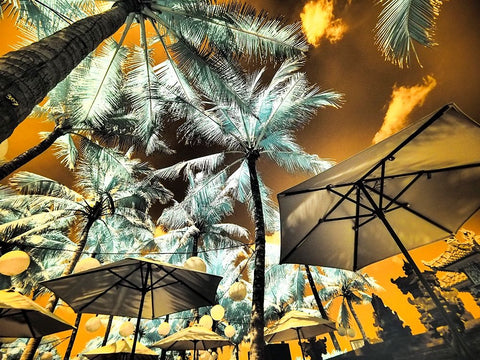 Bali-Ubud-Umbrellas-Ponds and pools at hotel in Ubud Black Ornate Wood Framed Art Print with Double Matting by Eggers, Terry