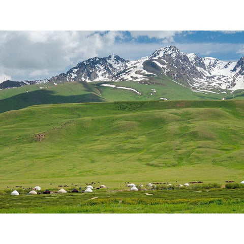 Summer pasture with traditional Yurts The Suusamyr plain-a high valley Gold Ornate Wood Framed Art Print with Double Matting by Zwick, Martin
