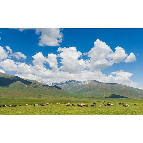 Summer pasture with traditional Yurts The Suusamyr plain Black Modern Wood Framed Art Print by Zwick, Martin