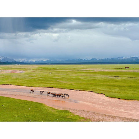 Horses in the Alay Valley and the Trans-Alay Range in the Pamir Mountains  White Modern Wood Framed Art Print by Zwick, Martin