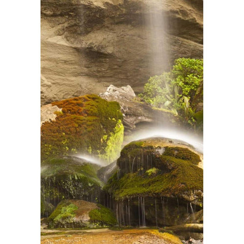 New Zealand, Paparoa NP Waterfall striking rocks Black Modern Wood Framed Art Print by Illg, Cathy and Gordon