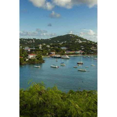 Caribbean, USA Virgin Islands, St John Cruz Bay Black Modern Wood Framed Art Print by Illg, Cathy and Gordon