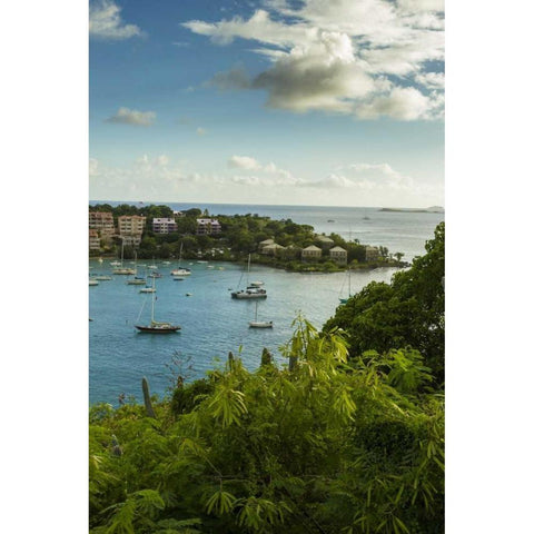 Caribbean, USA Virgin Islands, St John Cruz Bay Black Modern Wood Framed Art Print by Illg, Cathy and Gordon