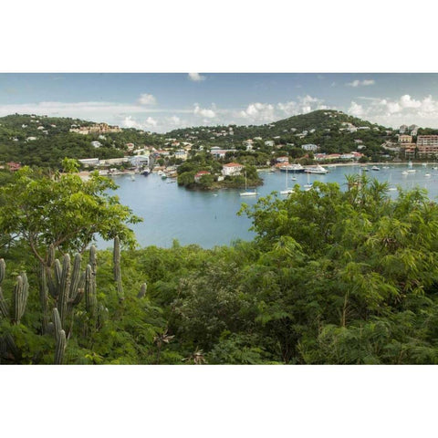 Caribbean, USA Virgin Islands, St John Cruz Bay Black Modern Wood Framed Art Print by Illg, Cathy and Gordon