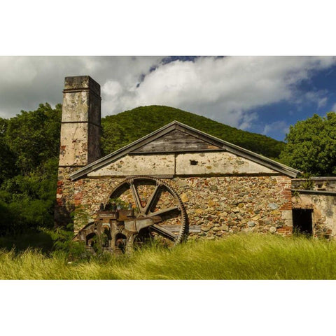 USA Virgin Islands, St John Ruins of sugar mill Gold Ornate Wood Framed Art Print with Double Matting by Illg, Cathy and Gordon