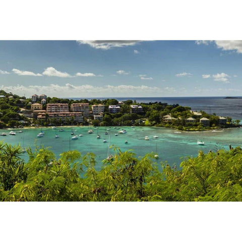 Caribbean, USA Virgin Islands, St John Cruz Bay Black Modern Wood Framed Art Print by Illg, Cathy and Gordon