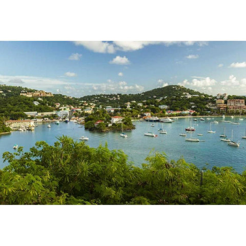 Caribbean, USA Virgin Islands, St John Cruz Bay Black Modern Wood Framed Art Print by Illg, Cathy and Gordon