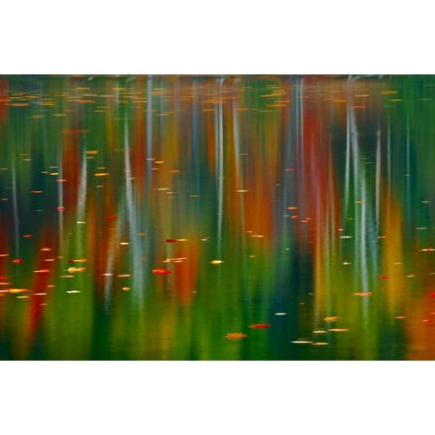 Canada, Ontario Autumn at Horseshoe Lake Black Modern Wood Framed Art Print with Double Matting by Grandmaison, Mike