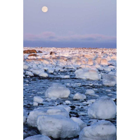 Canada, Hudson Bay Sunset and full moon rising Black Modern Wood Framed Art Print by Illg, Cathy and Gordon