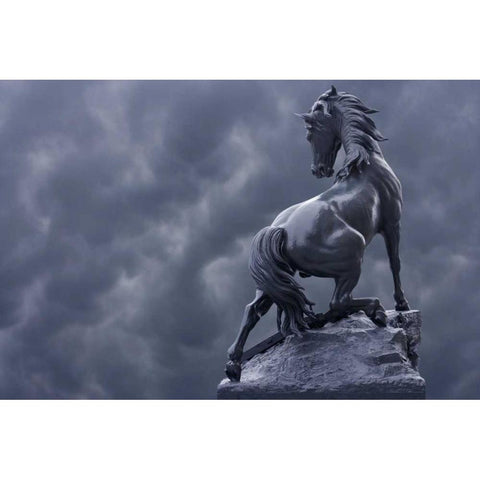 France, Paris Horse sculpture by Musee dOrsay Black Modern Wood Framed Art Print by Zuckerman, Jim