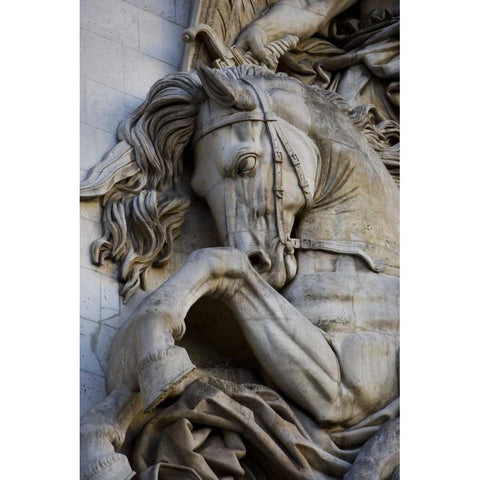 France, Paris Horse head on the Arc de Triomphe Black Modern Wood Framed Art Print by Zuckerman, Jim