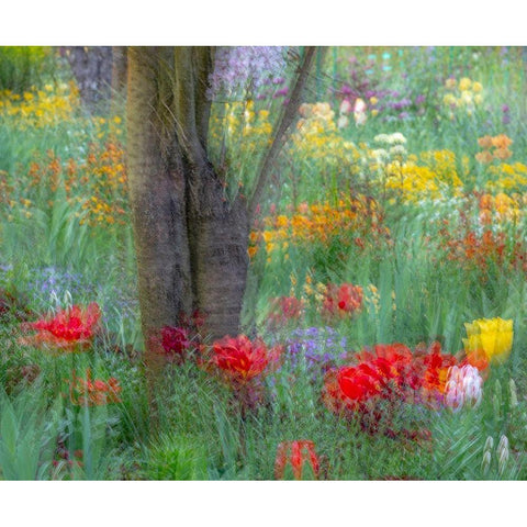 France-Giverny Impression of flowers in Monets Garden Gold Ornate Wood Framed Art Print with Double Matting by Jaynes Gallery
