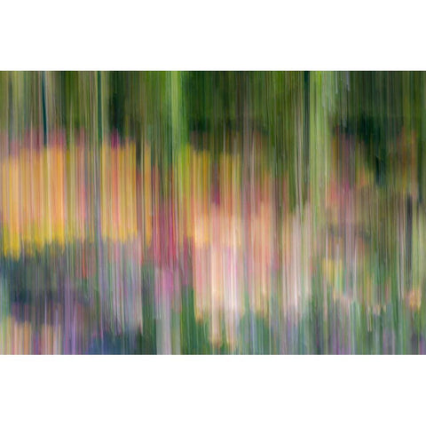 France-Giverny Abstract of flowers in Monets Garden Gold Ornate Wood Framed Art Print with Double Matting by Jaynes Gallery