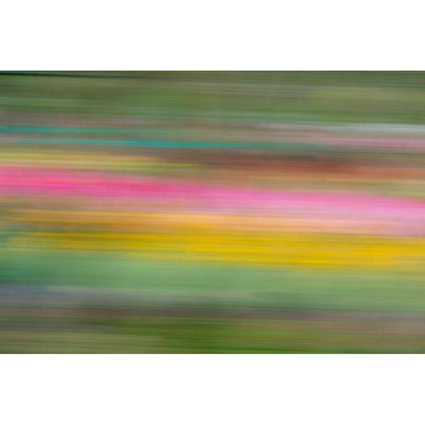 France-Giverny Abstract of flowers in Monets Garden Gold Ornate Wood Framed Art Print with Double Matting by Jaynes Gallery