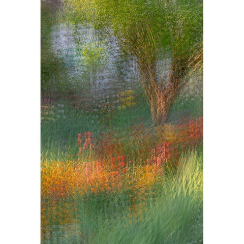 France-Giverny Impression of flowers in Monets Garden Black Modern Wood Framed Art Print with Double Matting by Jaynes Gallery
