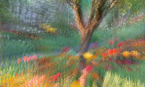 France-Giverny Impression of flowers in Monets Garden White Modern Wood Framed Art Print with Double Matting by Jaynes Gallery