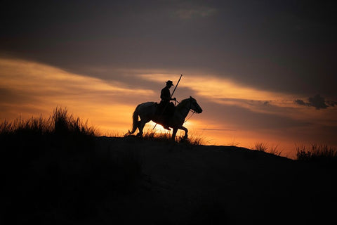 Europe-France-Provence-Camargue horse with rider at sunrise White Modern Wood Framed Art Print with Double Matting by Jaynes Gallery