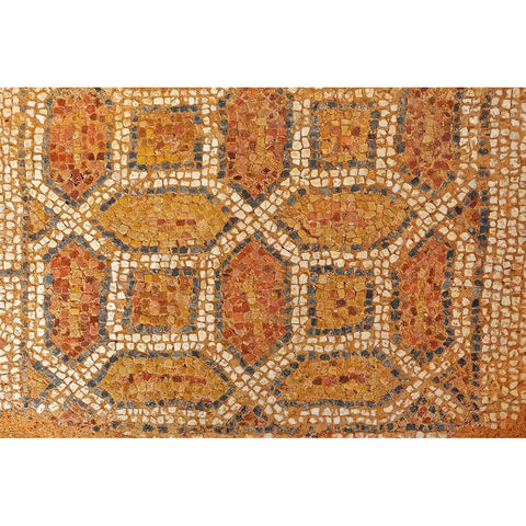 Greece-Philippi Mosaic floor in ancient city  Gold Ornate Wood Framed Art Print with Double Matting by Jaynes Gallery