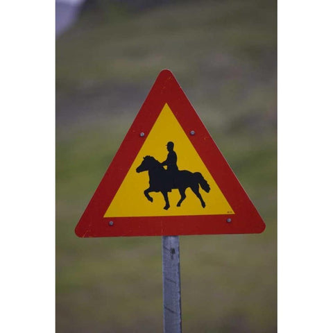 Iceland, Snaefellsnes Horse Crossing road sign Black Modern Wood Framed Art Print by Grall, Don