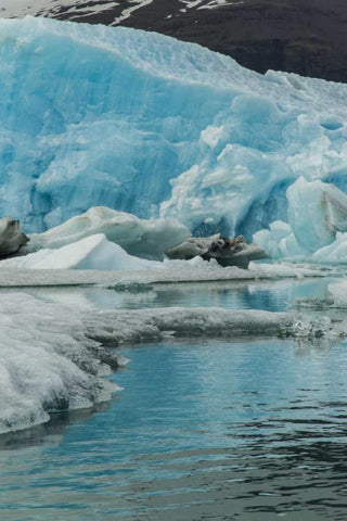 Iceland, Jokusarlon Iceberg reflects in water White Modern Wood Framed Art Print with Double Matting by Illg, Cathy and Gordon