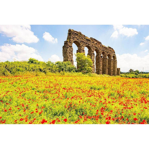 Italy-Rome Parc of the Aqueducts (Parco degli Acquedotti)-Acqua Claudio Black Modern Wood Framed Art Print by Jones, Alison