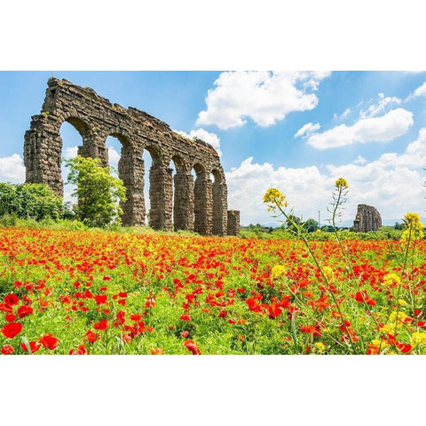 Italy-Rome Parc of the Aqueducts (Parco degli Acquedotti)-Acqua Claudio Black Modern Wood Framed Art Print by Jones, Alison