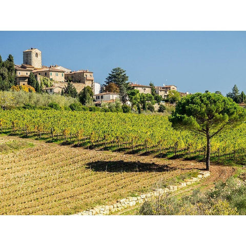 Italy-Chianti Tuscan homes in the town of Panzano with vineyard below Black Modern Wood Framed Art Print with Double Matting by Eggers, Julie