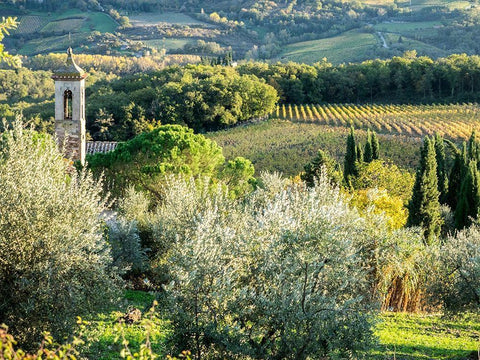 Italy-Chianti Pieve di Santa Maria Novella near Radda in Chianti Black Ornate Wood Framed Art Print with Double Matting by Eggers, Julie