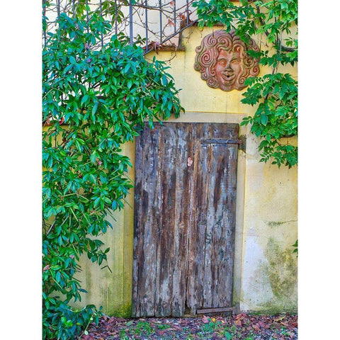 Italy-Chianti Old wooden door beneath a stairway with climbing vines and pottery art work White Modern Wood Framed Art Print by Eggers, Julie