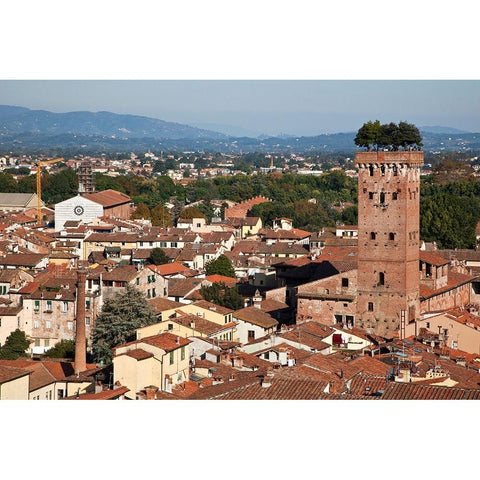 Italy-Tuscany-Lucca The rooftops of the historic center of Lucca and the Guinigi tower Black Modern Wood Framed Art Print by Eggers, Julie