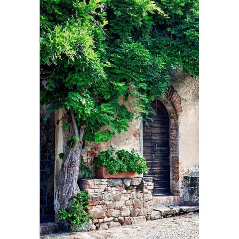 Italy-Tuscany Courtyard of an agriturismo near the hill town of Montalcino White Modern Wood Framed Art Print by Eggers, Julie